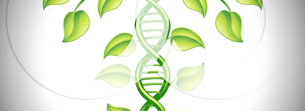 journées scientifiques 2013