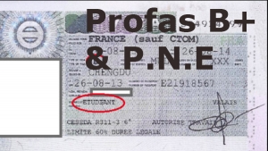 Demande de Visa de Long Séjour en France dans le cadre des Bourses PROFAS B+ et PNE