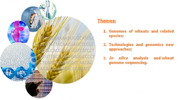 International seminar genome and wheat sequencing