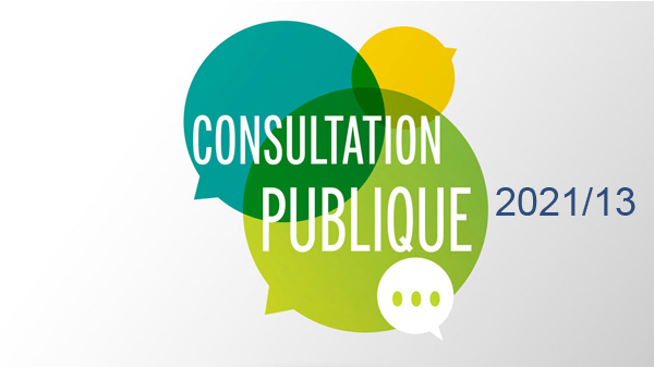 Consultation N° 2021/13