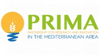 PRIMA - PUBLIC CONSULTATION