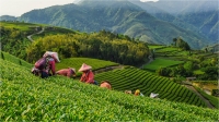 Journée mondial de l'alimentation