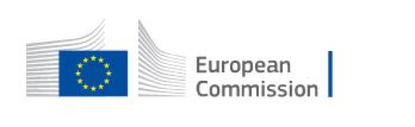 Appel à proposition de la commission européenne pour le soutien de 1200 projets de recherche postdoctoraux dans le cadre du programme Horizon Europe