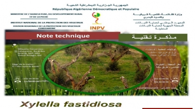 Technical note 04 13 AOÛT 2019 "XYLELLA FASTIDIOSA"