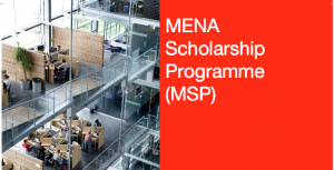 Appel à candidatures!  “Mena Scholarship Programme”