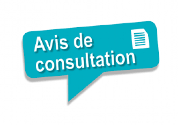 Avis de consultation N°009/2021