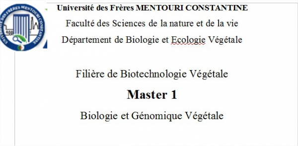 Dosage d’un ARNmpar RT-PCR semi-quantitative