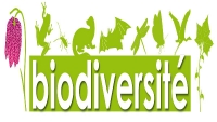 Les espèces menacées de plus en plus nombreuses : La biodiversité en débat