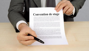 Stage pré professionnel pour étudiants