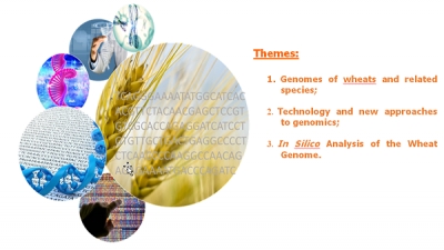 International seminar genome and wheat sequencing