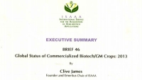 EXECUTIVE SUMMARY -N 46-2013