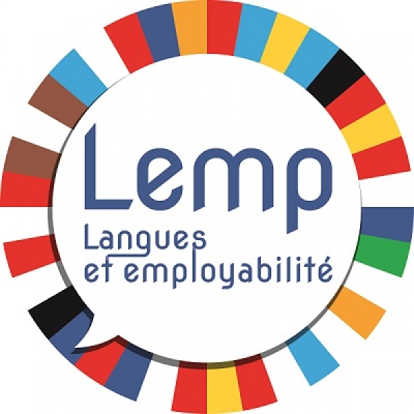 Analyse des besoins des employeurs français au regard des compétences en langues vivantes étrangères
