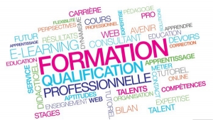 Appel à projets : montage de Formations Ouvertes et à Distance (FOAD) - AUF