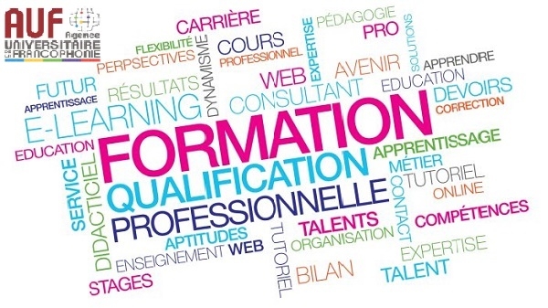 Appel à projets : montage de Formations Ouvertes et à Distance (FOAD)