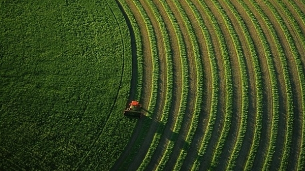 Bulletin d&#039;avertissement agricole N°01 &quot;Oïdium des céréales&quot;