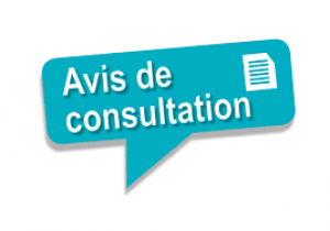 Avis de consultation N°010/2021