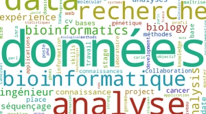 Emploi du temps L3 Bio-Informatique